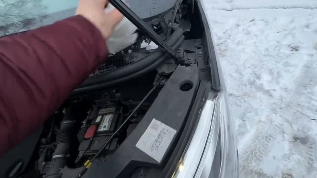 MOV_20251227_161213_797.mp4