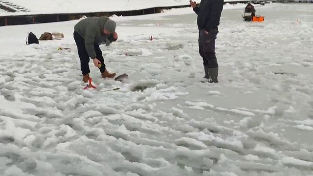 Форель на пасту смотреть онлайн