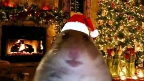 Оптимизация OBS STUDIO