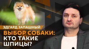 Эдгард Запашный и Нина Ватт. Хочу завести собаку: с чего начать?