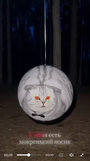 🤣🤣🤣🤣🤣🤣🤣🤣🤣🤣🤣