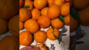 ВОТ КТО ЭТО? 😳🙄