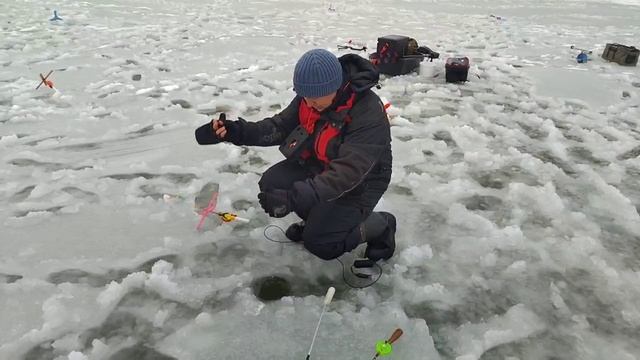 Форелька на икру смотреть онлайн