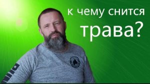 К чему снится ТРАВА.