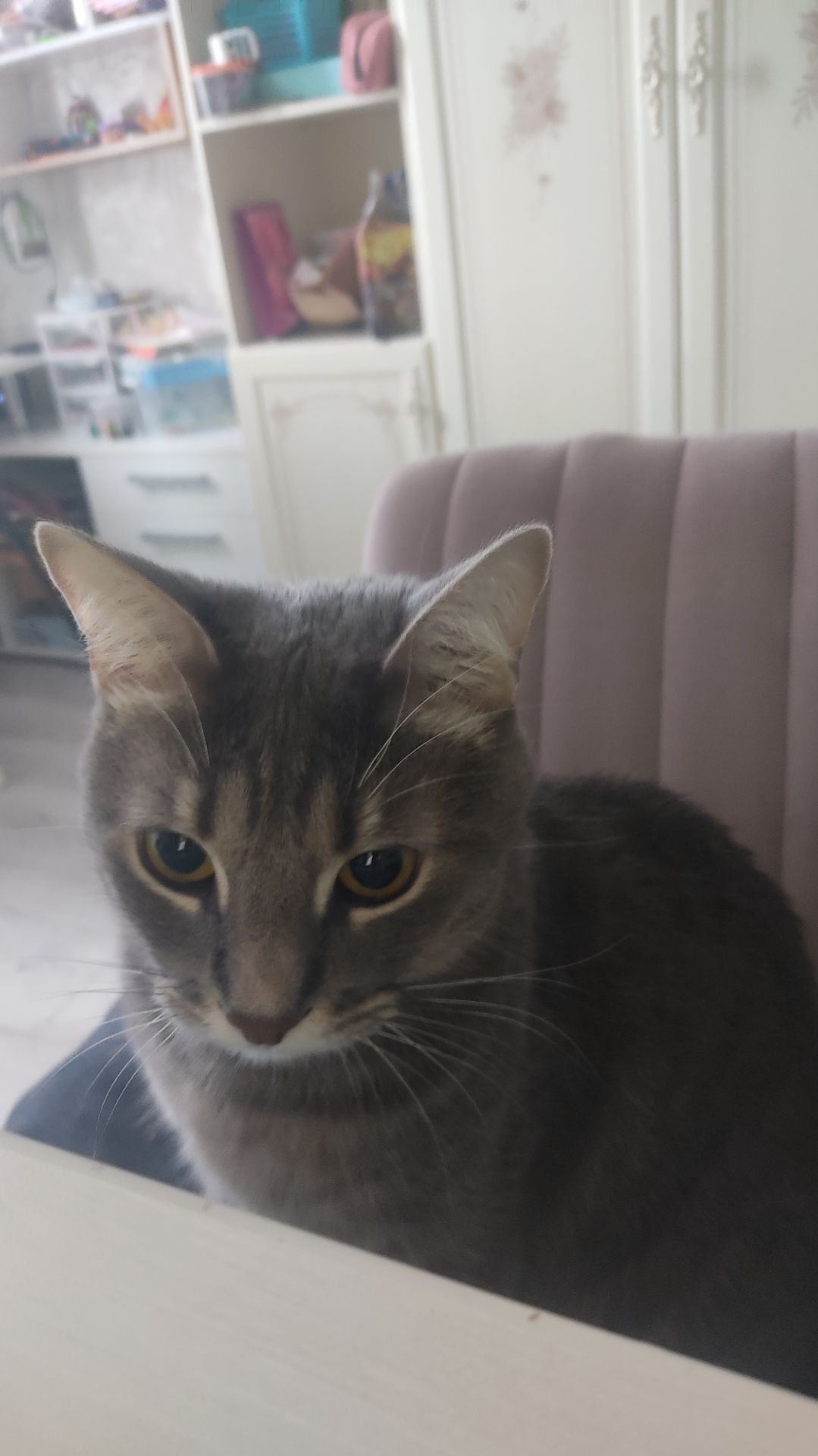 О чём мои видео