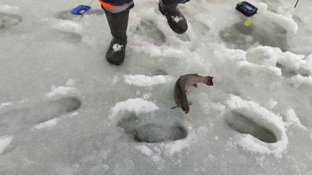 Снова моргалка смотреть онлайн