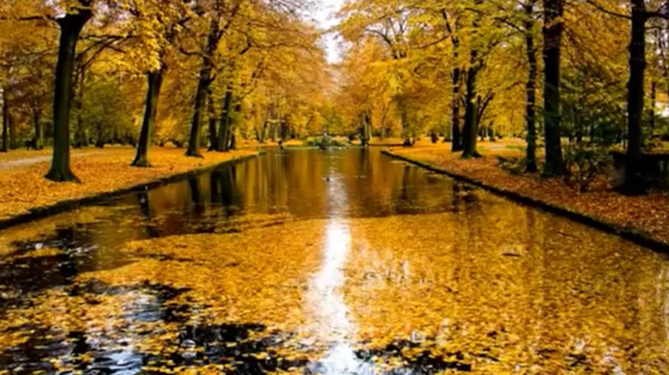 Классическая Музыка для Учебы и Работы Релаксирующая Музыка для Души смотреть онлайн