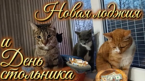 Новая лоджия и День стольника!