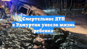 Смертельное ДТП в Удмуртии унесло жизнь ребенка