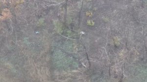 СВО на Украине — сводка боевых действий на 26.12.2025 | Карта СВО | Новости фронта