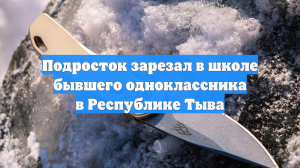 Подросток зарезал бывшего одноклассника на новогодней дискотеке в Тыве