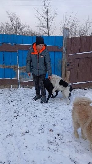 Деревня Жизнь Хозяйство