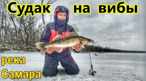 ЗА ТРОФЕЙНЫМ СУДАКОМ НА РЕКУ САМАРА/ЛОВЛЯ СУДАКА НА ВИБЫ/КРУПНЫЙ СУДАК В КОРЯЖНИКЕ/ВИБЫ НА СУДАКА
