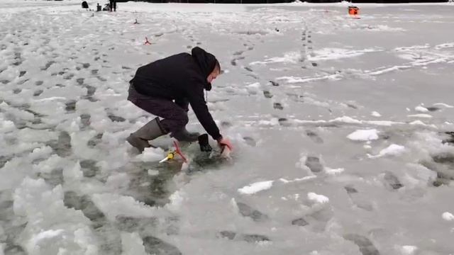 На пассив смотреть онлайн