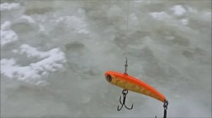 На запуске актив, после запуска поля. Нижний пруд. Клёвое место Лосиный остров.