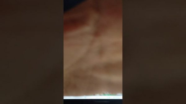 VID_20251226_230343.mp4