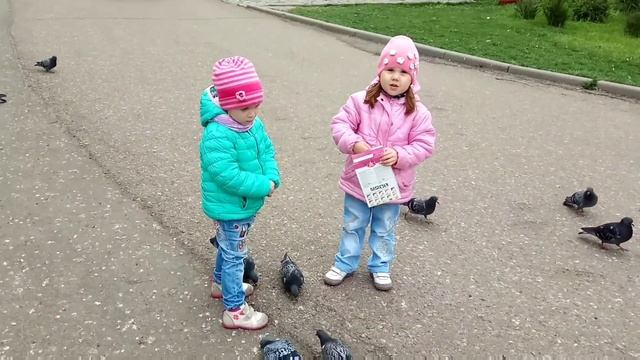 Катя и Настя кормят голубей Прилетели голуби Feed the pigeon смотреть онлайн