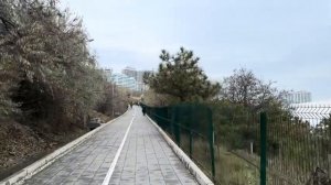 ОДЕССА 27 ДЕКАБРЯ 2025. СЕКТА МОЛИВШИХСЯ ЗА ЗЕЛЕНСКОГО В П