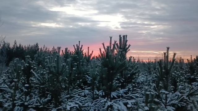 Карелия ☀️