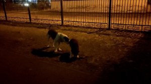 БЭТМЕН Амбуль и ПЕРСЕЙ Помски🔥 встретились два друга