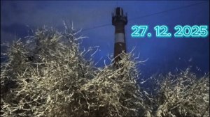 Первый снег 27.12.2025