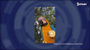 Клуб Шико. Выпуск от 27.12.25