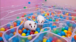 ИИ | ЗАЛИПАЛКИ | АСМР