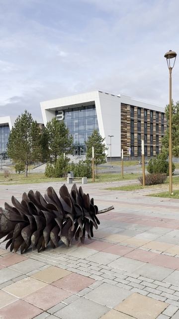 ШИШКИН ПАРК В ИННОПОЛИСЕ смотреть онлайн