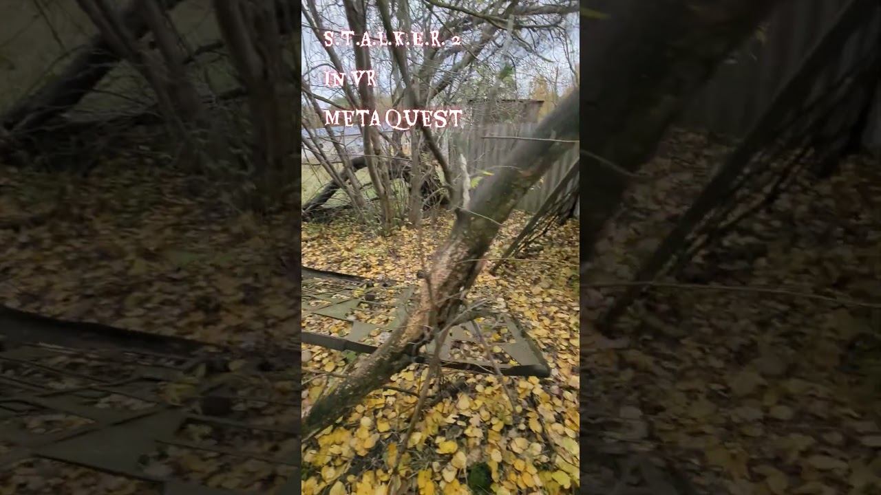 #STALKER2 #GAME IN #VR #METAQUEST ? NO #BELARUS MY ROAD TO SHOP WITH CANDIES TO CELEBRATE #HALLOWEEN