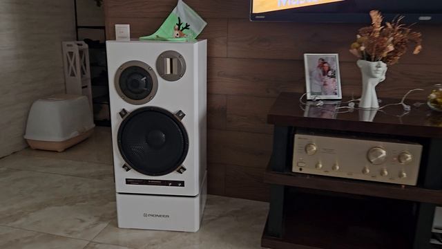 Аудиофильское утро