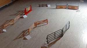 Конкур 2 заезд (лошади Шляйх, Дарвин)