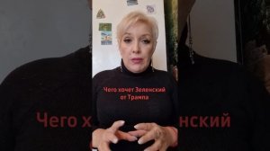 Почему  Россия не примет мирный план Зеленского