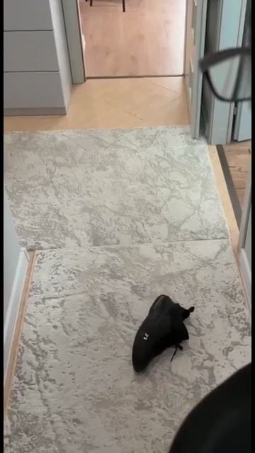 Что тут происходит смотреть онлайн