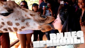 ЛУЧШИЕ ПРИКОЛЫ 2025 | ПРИКОЛЫ 2025 | СВЕЖИЕ ПРИКОЛЫ 2025 | РЖУ НЕ МОГУ |