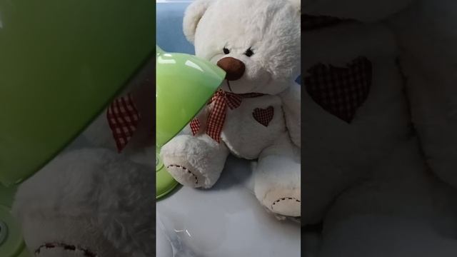 Виталька без педальки. трансляция от 27 декабря 2025 смотреть онлайн