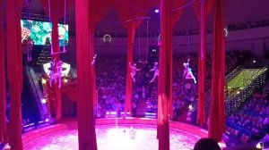 сегодня я был в нижегородском цирке 🔥🔥🔥🔥