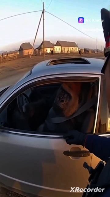 Серёга - Харизма