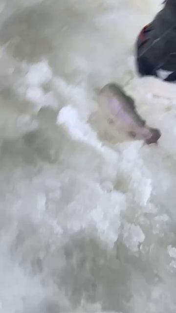 Вип зона. смотреть онлайн