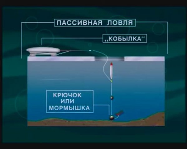 Какие снасти используют рыболовы при подлёдной ловле Обыкновенной плотвы — Rutilus rutilus ?
