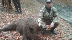 Охота на кабана