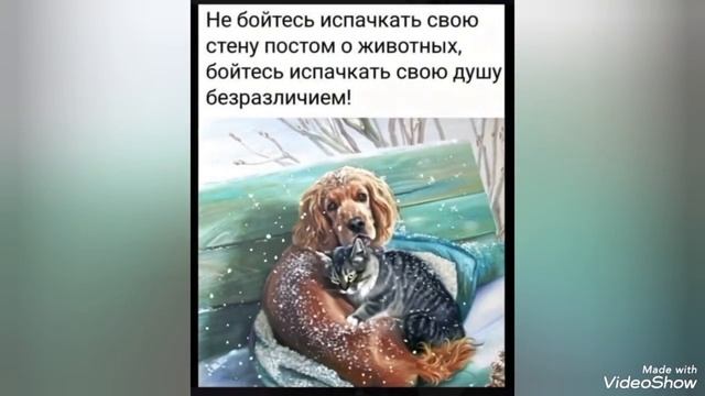 Мариуполь 🌇 сегодня 🏗️🏢 ул. Апатова,пр. Металлургов..mp4 смотреть онлайн