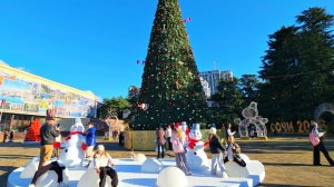 ✅️🎄27 ДЕКАБРЯ В СОЧИ: +5°, НОВОГОДНЯЯ АТМОСФЕРА,  УЛ. НАВАГИНСКАЯ, ГЛАВНАЯ ЁЛКА. НОВЫЙ ГОД В СОЧИ