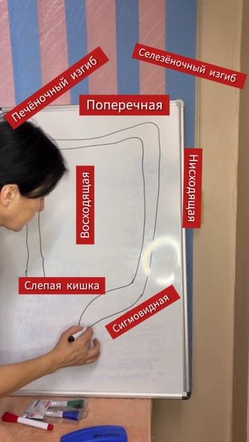 Список городов, где я буду проводить обучение и вести приём в первом полугодии 2026 года смотреть онлайн