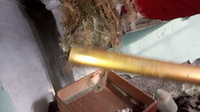 ИССЛЕДОВАНИЕ ЗАБРОШЕННОЙ БАНИ +пытался залезть на дерево хехехе_[Zak055] смотреть онлайн