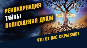 Реинкарнация: Тайны Воплощения Души