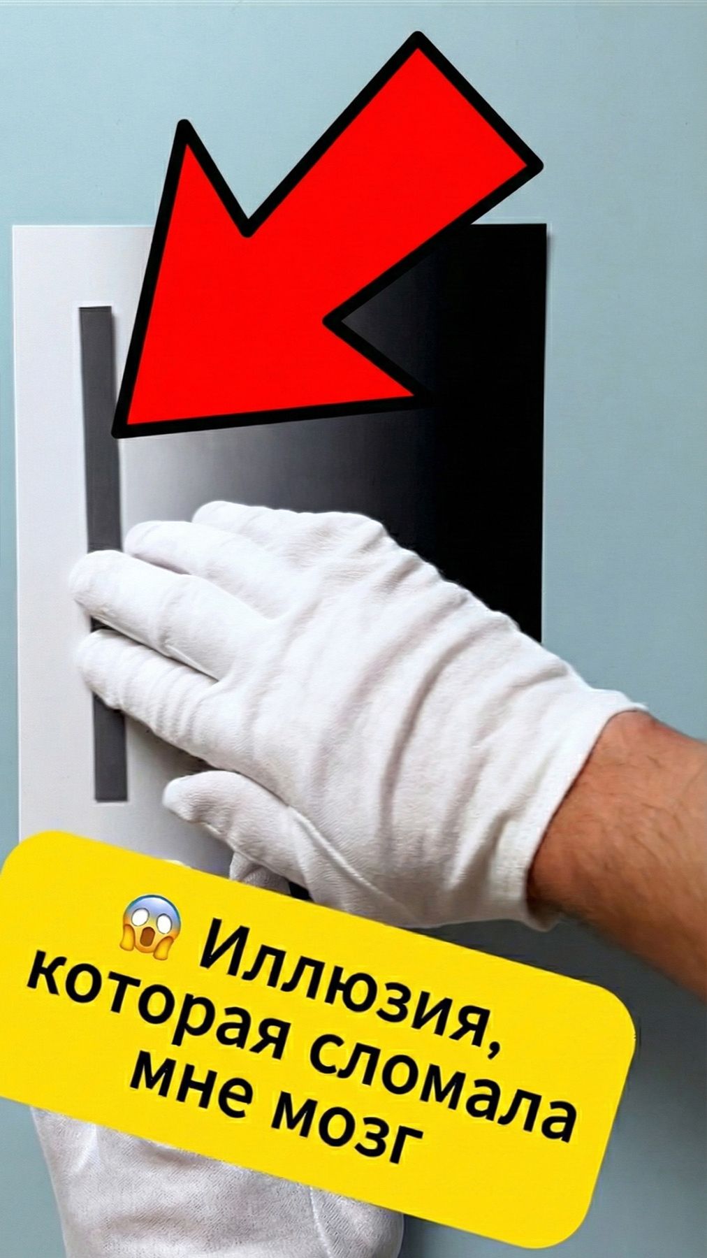 КАКОГО ОНА ЦВЕТА? Оптическая иллюзия и ошибка мозга 🤯