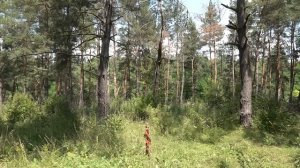 Царь Матрица для похудения ★ Лучшая программа для сни