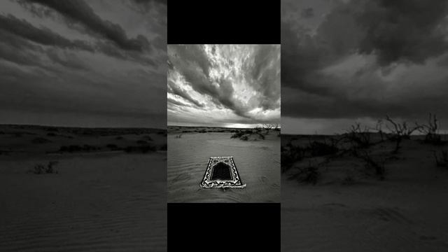 нашид смотреть онлайн