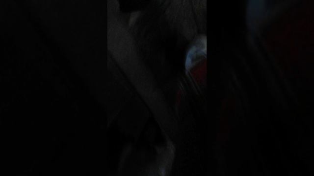 😇 смотреть онлайн