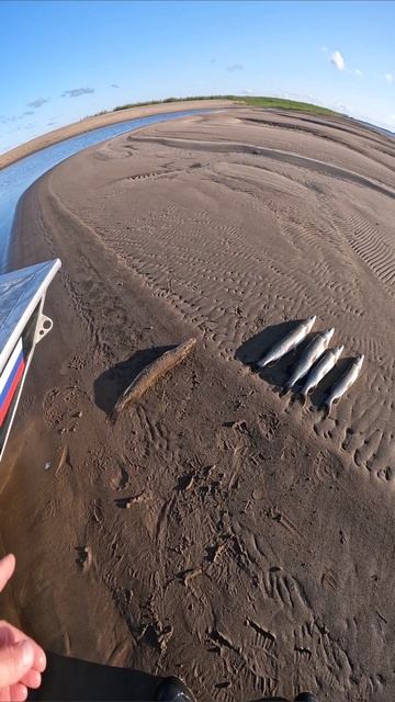 Неплохой Уловчик по быстрому!!! смотреть онлайн